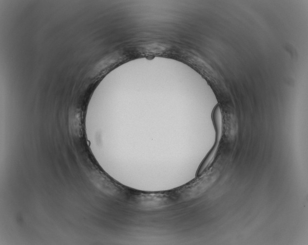 X0000112040378200908311241