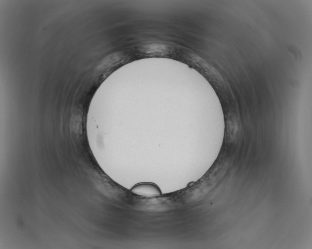 X0000112040379200908311241
