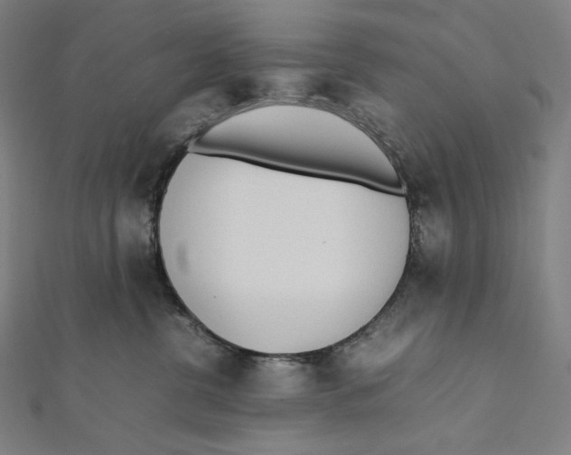 X0000112040380200908311241