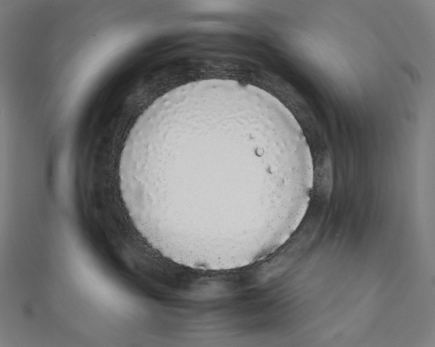 X0000112040381200908311241