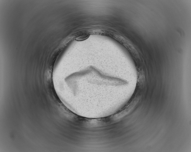 X0000112040382200908311241