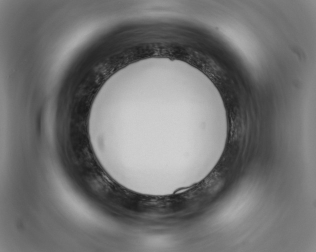 X0000112040383200908311241