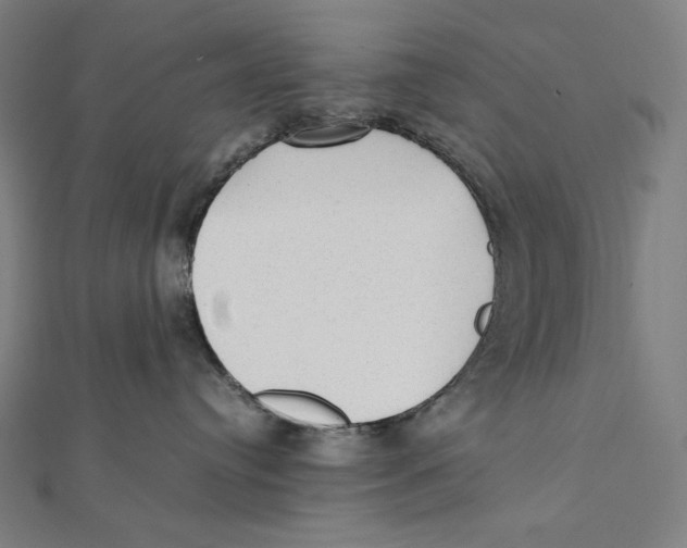 X0000112040384200908311241