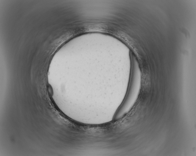 X0000112040385200908311240