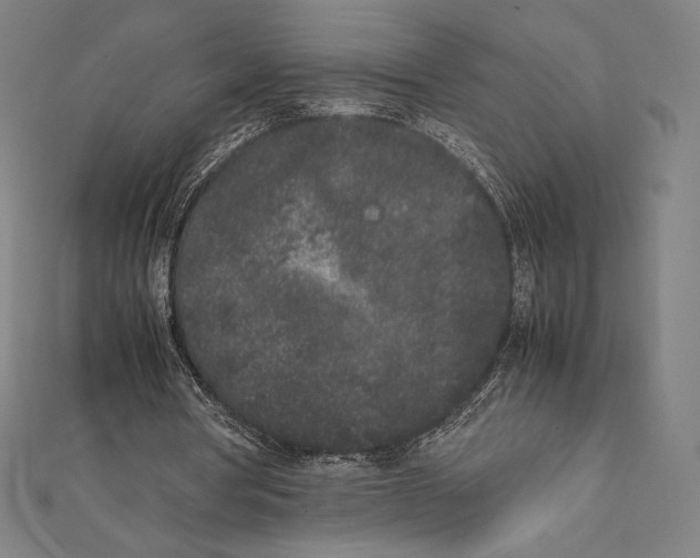 X0000112040386200908311240