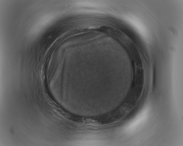 X0000112040387200908311240