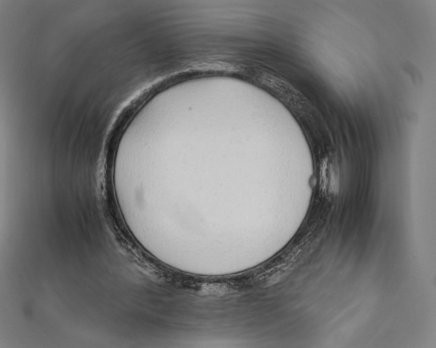 X0000112040388200908311240