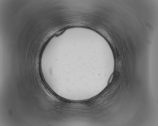 X0000112040389200908311240