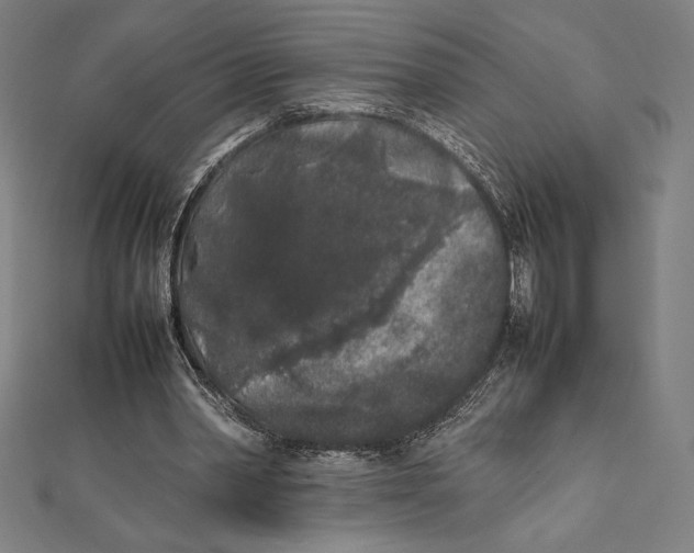 X0000112040390200908311240