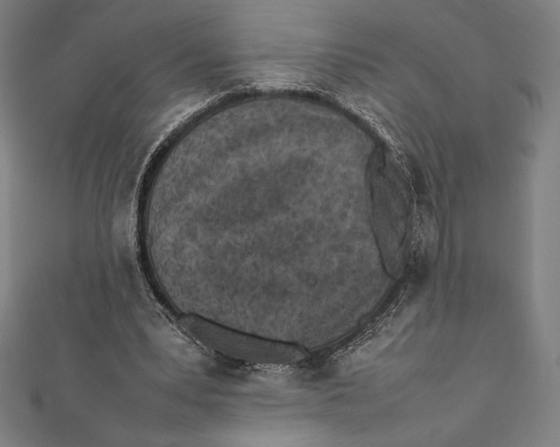 X0000112040391200908311240