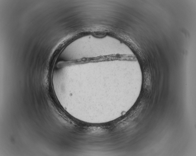 X0000112040392200908311240
