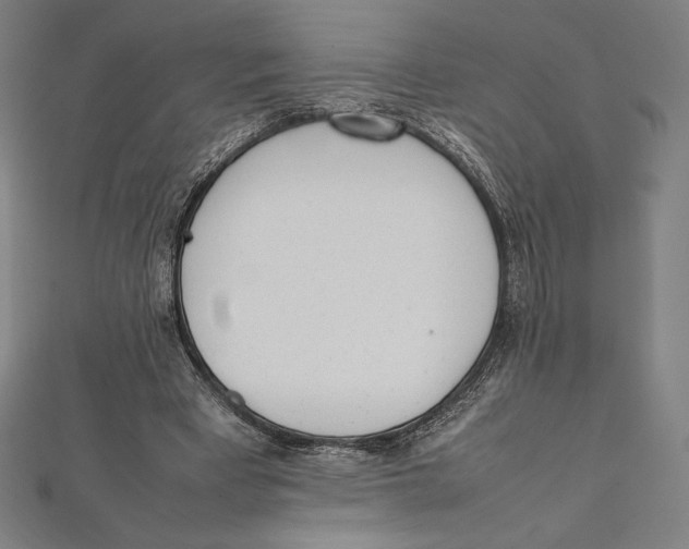 X0000112040393200908311240