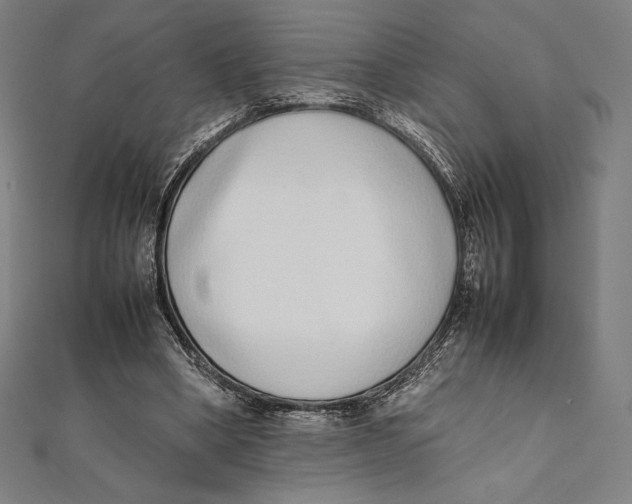 X0000112040394200908311240