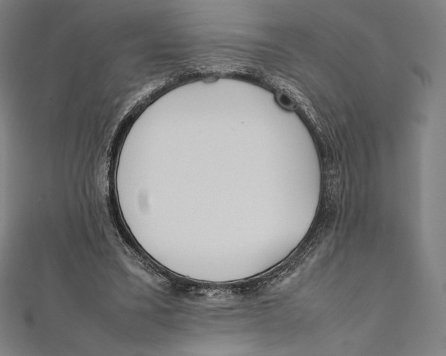 X0000112040395200908311240