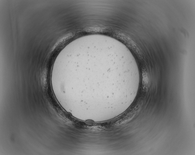 X0000112040396200908311240