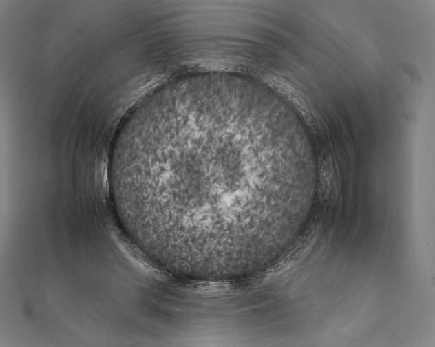 X0000112040398200908311240