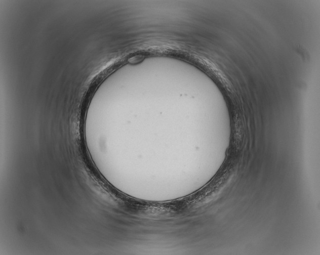 X0000112040399200908311240