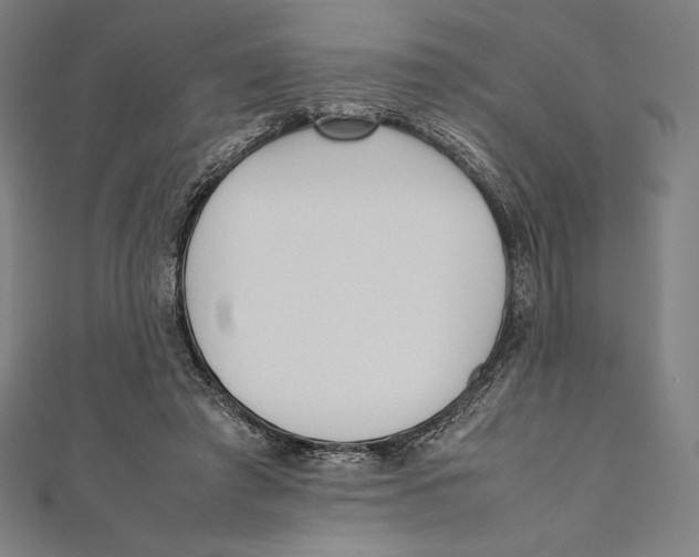 X0000112040401200908311240