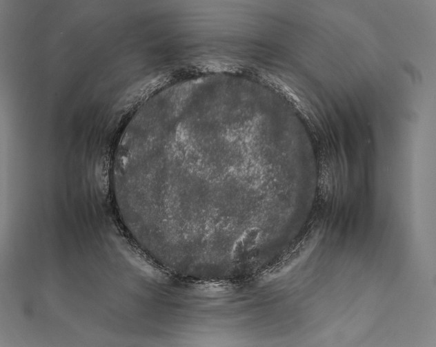 X0000112040402200908311240