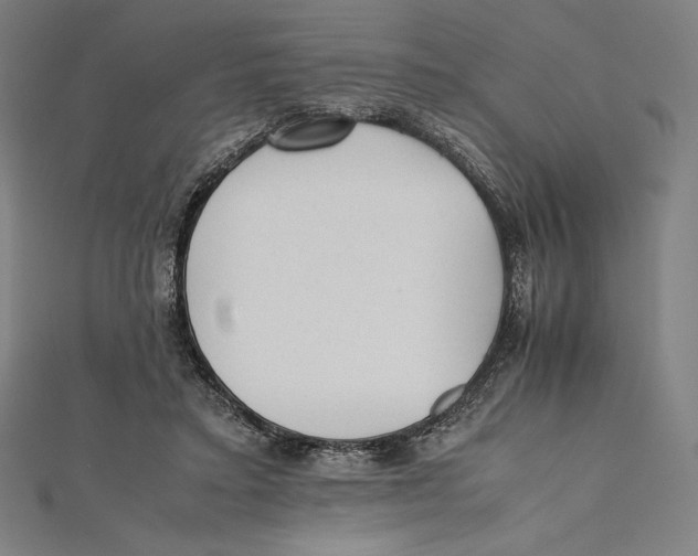 X0000112040403200908311240
