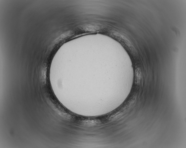 X0000112040404200908311240
