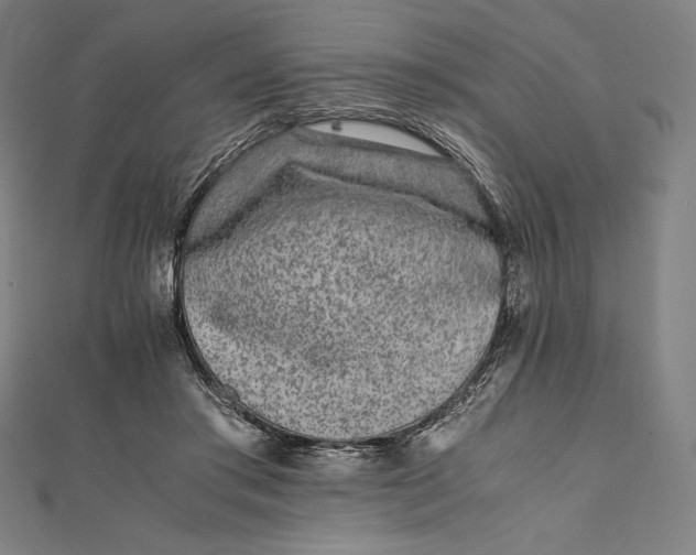 X0000112040405200908311240