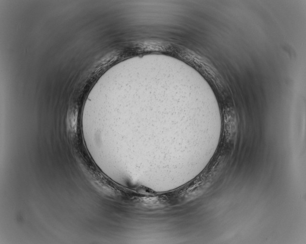 X0000112040406200908311240