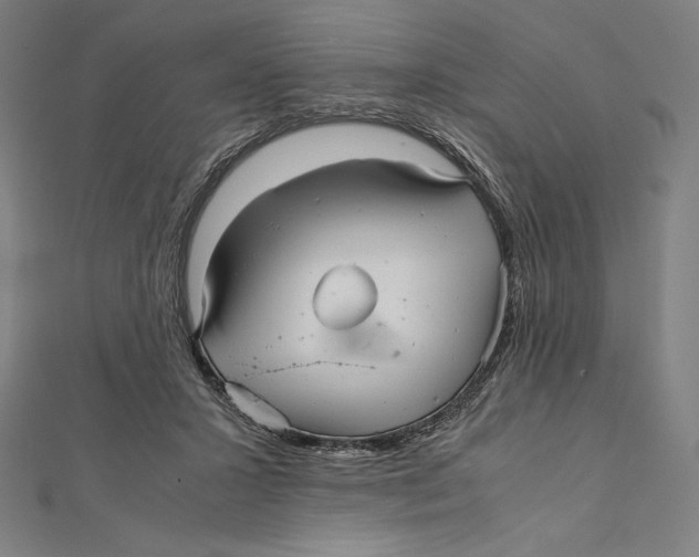 X0000112040407200908311240