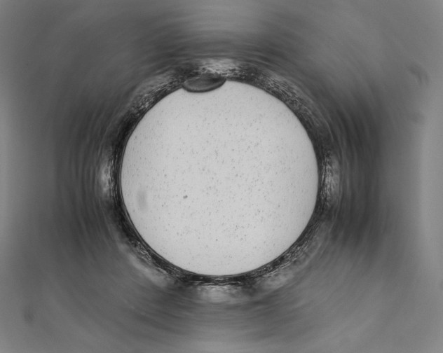 X0000112040408200908311240