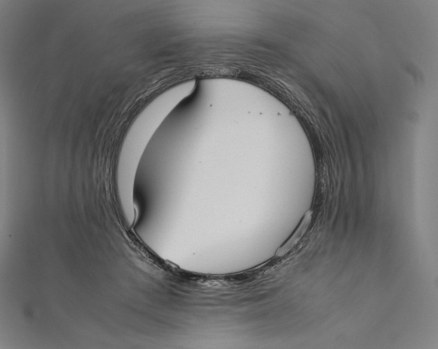 X0000112040409200908311240