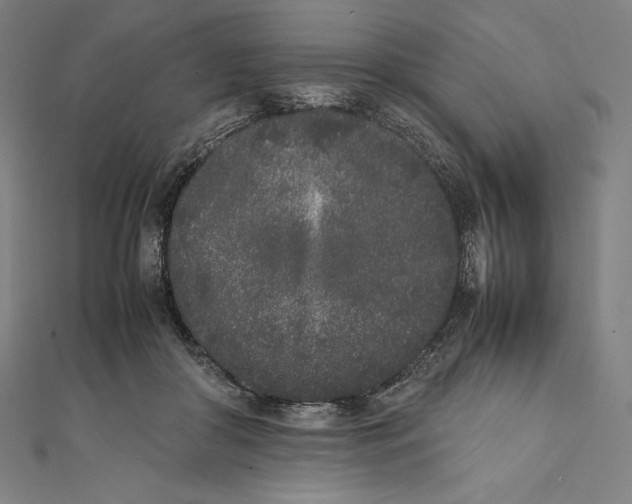 X0000112040410200908311240