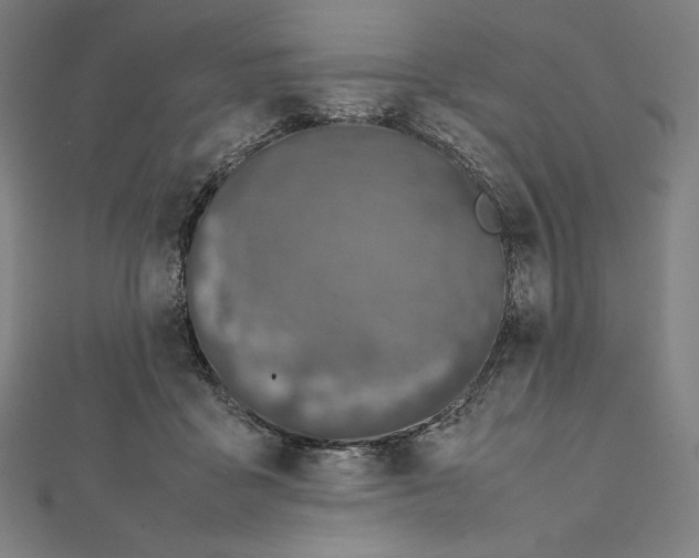 X0000112040411200908311240