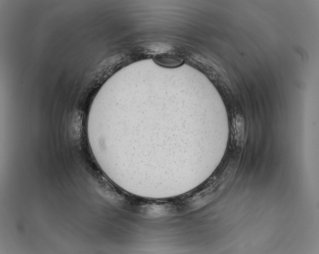 X0000112040412200908311240