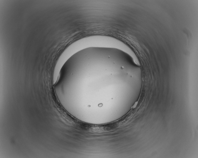 X0000112040413200908311240