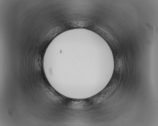 X0000112040414200908311240
