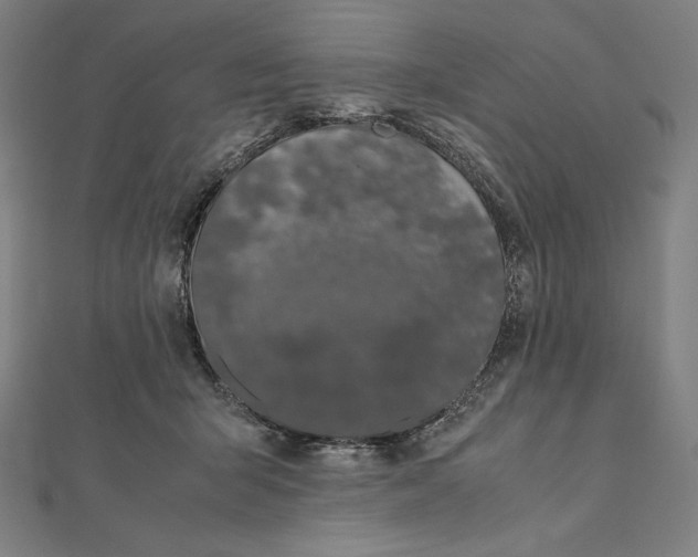 X0000112040415200908311240