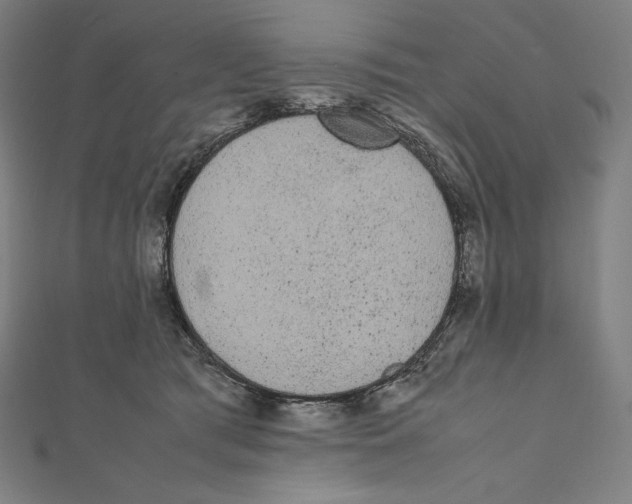 X0000112040417200908311240