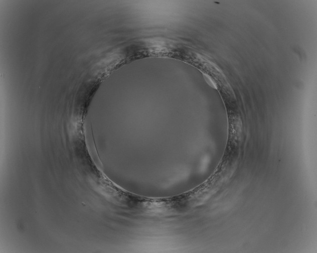 X0000112040419200908311240