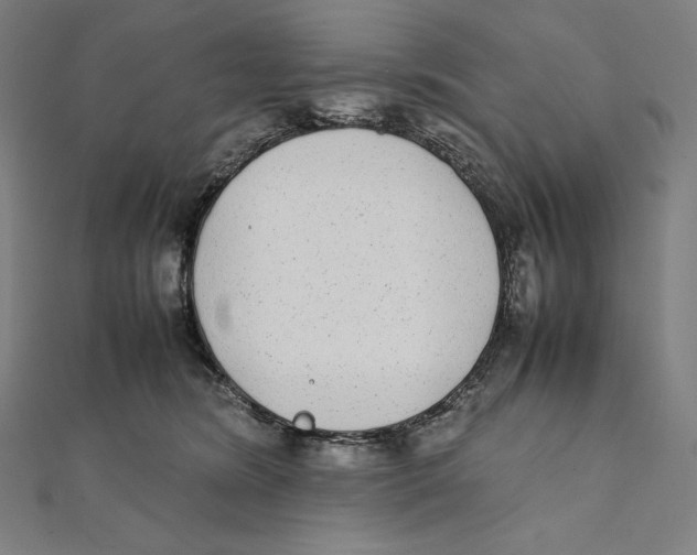 X0000112040420200908311240