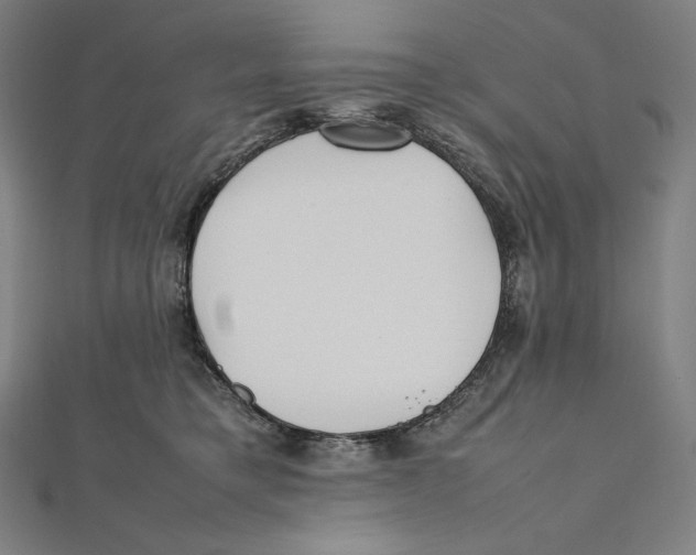 X0000112040421200908311240