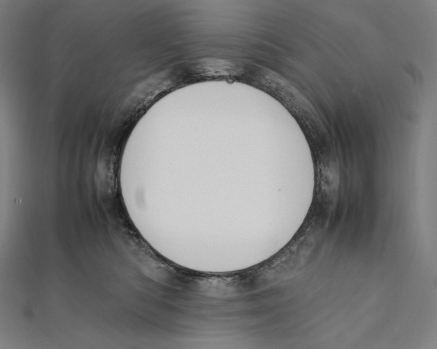 X0000112040422200908311240