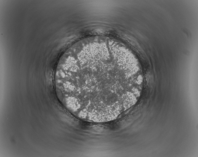 X0000112040423200908311240