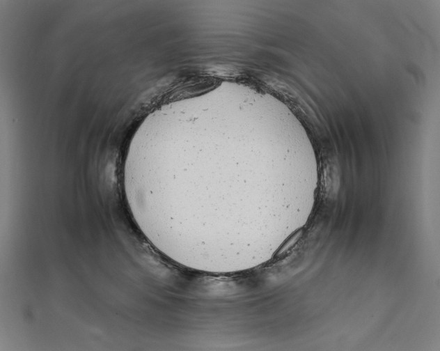 X0000112040424200908311240