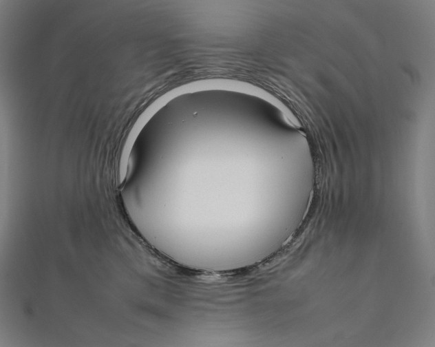 X0000112040425200908311240