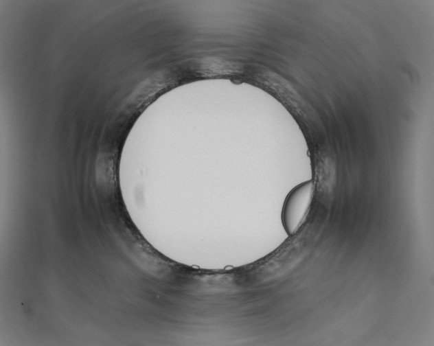 X0000112040426200908311240