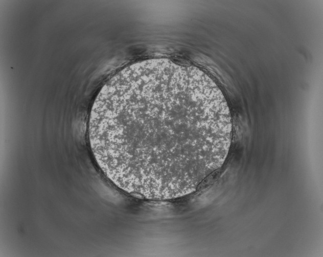 X0000112040427200908311240