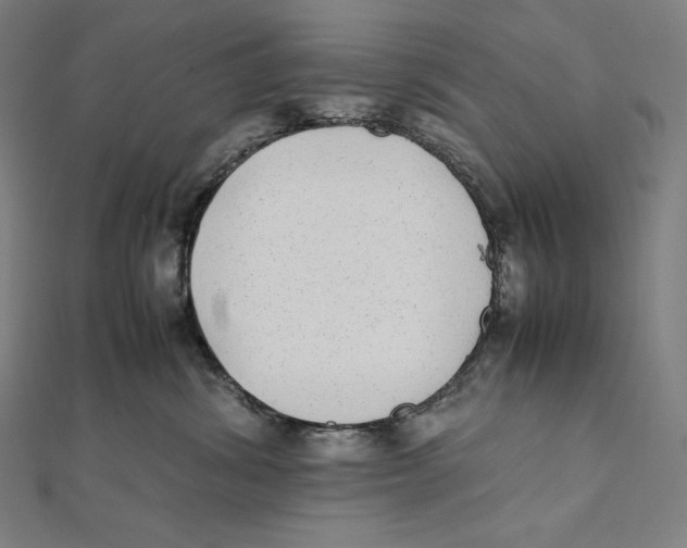 X0000112040428200908311240