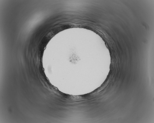 X0000112040429200908311240
