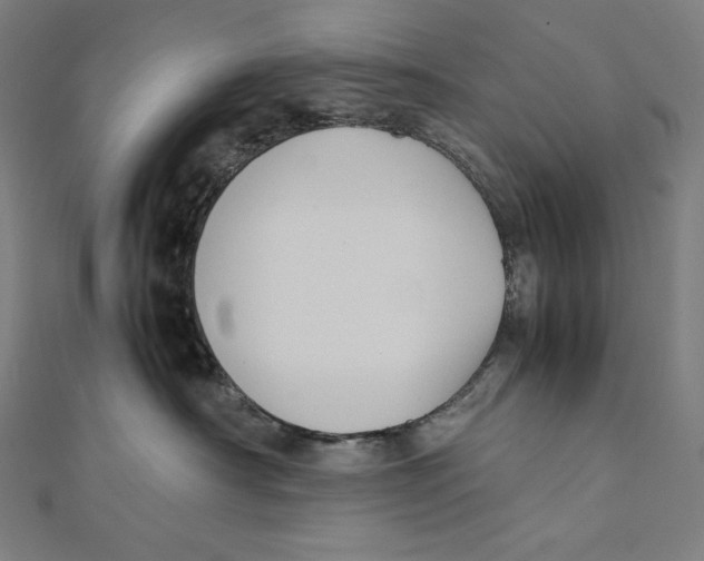 X0000112040430200908311240