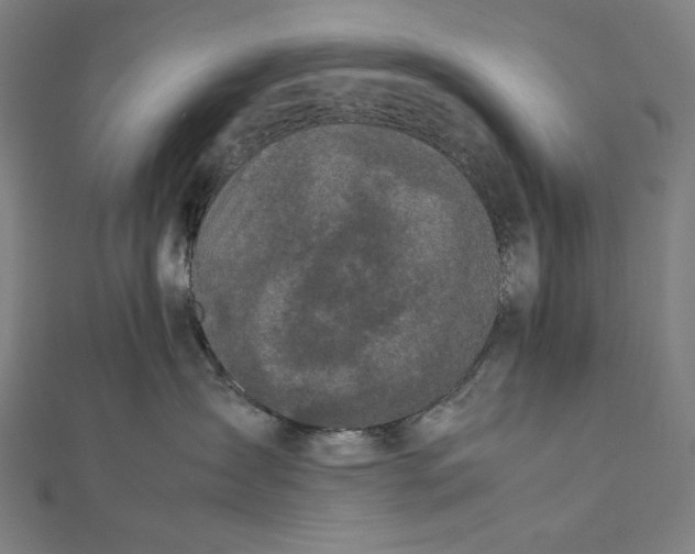 X0000112040431200908311240